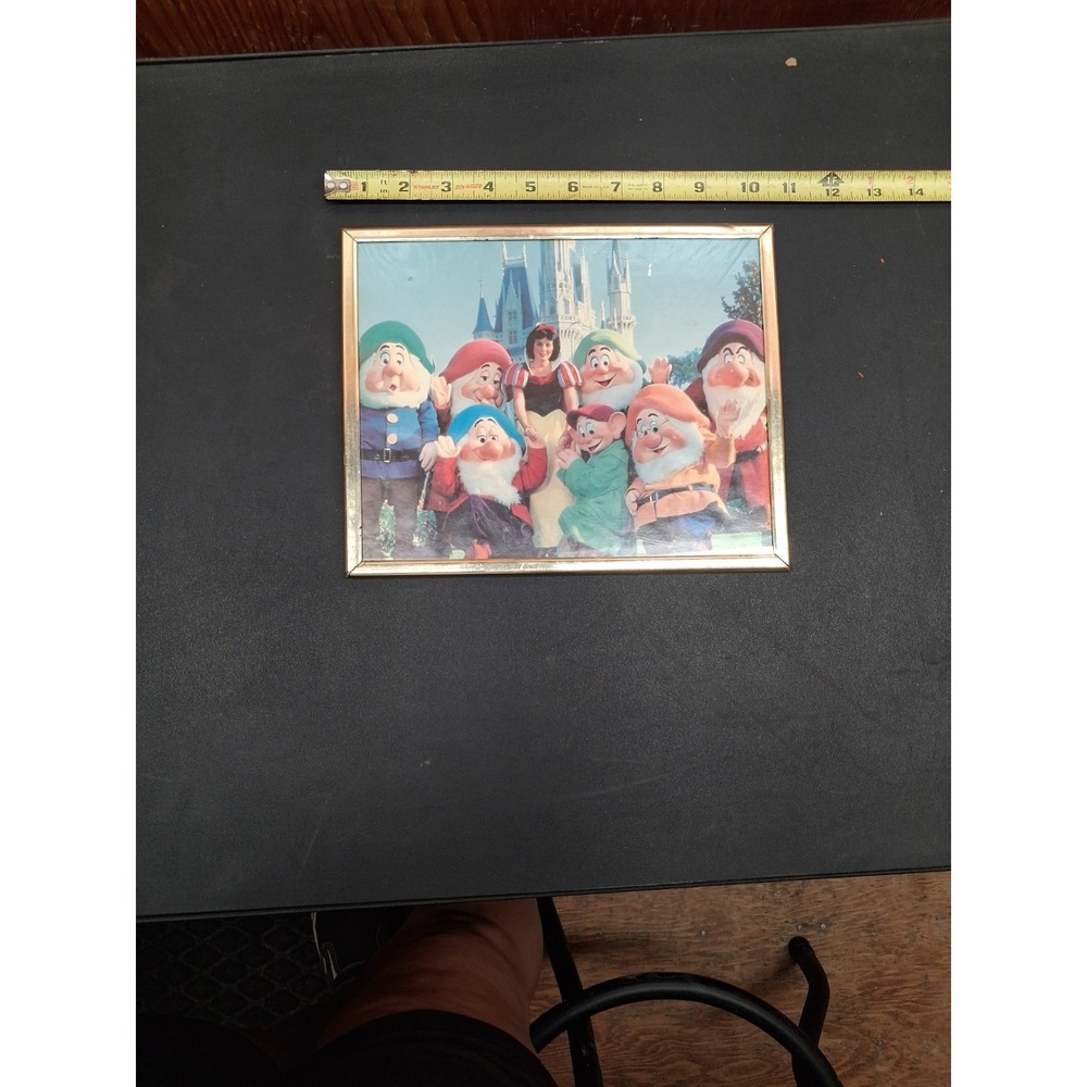 SNOW WHITE AND THE SEVEN DWARFS at Disney Land 1965 Framed Picture